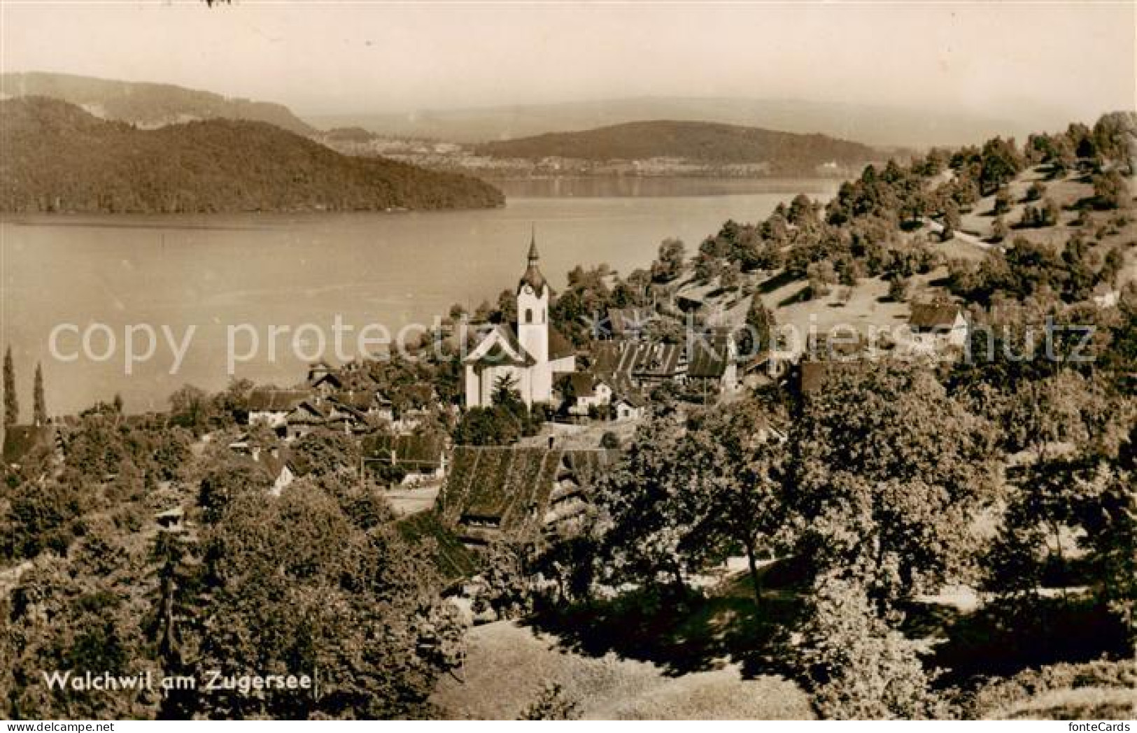 13820384 Walchwil ZG Am Zugersee Panorama  - Altri & Non Classificati