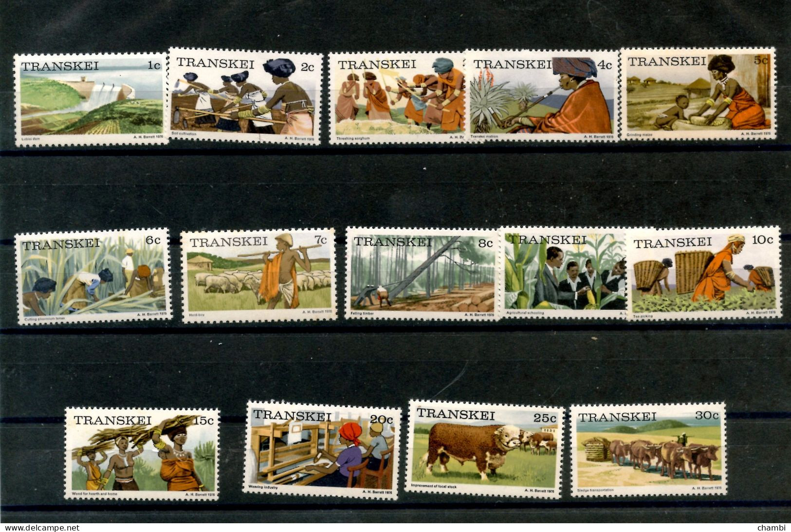 Transkei 1 Série Complète De 14 Timbres Tourisme Vie Traditionnelle Découverte Du Pays - Transkei