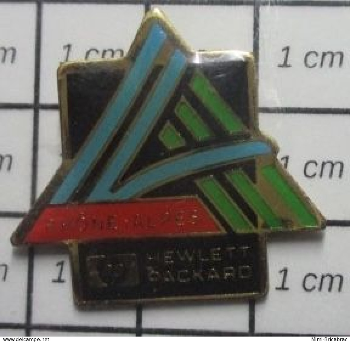 1419 Pin's Pins / Beau Et Rare / INFORMATIQUE / HEWLETT PACKARD RHONE ALPES - Informatique