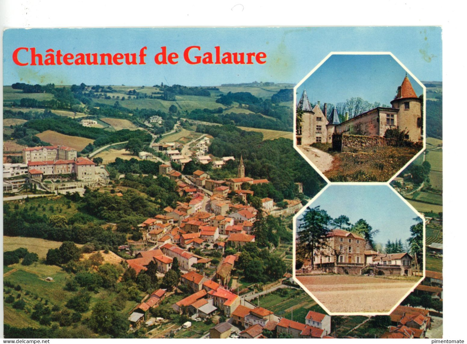 CHATEAUNEUF DE GALAURE ET SES ENVIRONS VUE AERIENNE 1981 - Sonstige & Ohne Zuordnung