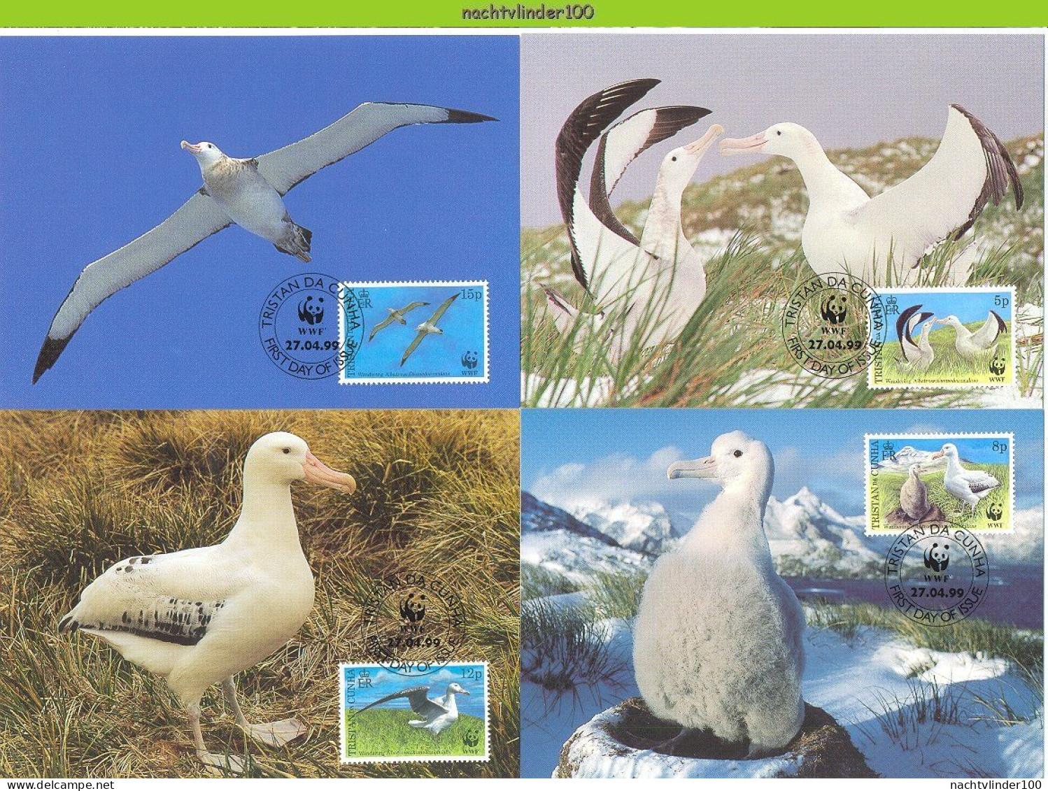 Ngb257mb FAUNA WWF VOGELS WANDERING ALBATROSS BIRDS VÖGEL AVES OISEAUX TRISTAN DA CUNHA 1999 MAX # - Tarjetas – Máxima