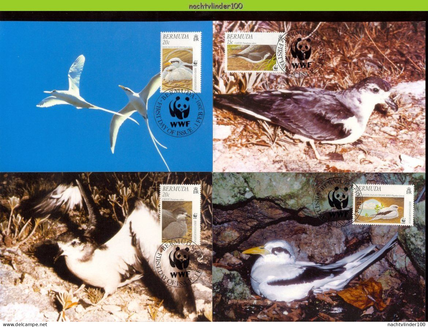 Ngb284mb WWF FAUNA VOGELS BIRDS WHITE-TAILED TROPICBIRD VÖGEL AVES OISEAUX BERMUDA 2001 MAX - Maximumkarten