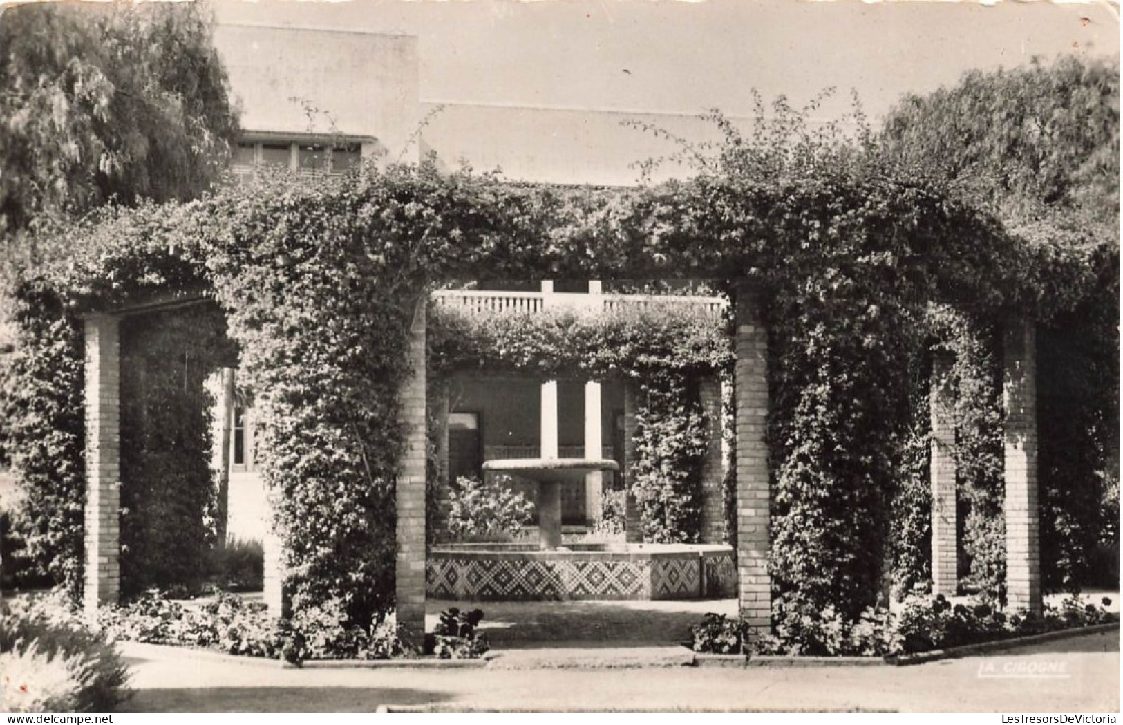 MAROC - Rabat - Jardin De La Résidence - Carte Postale Ancienne - Rabat