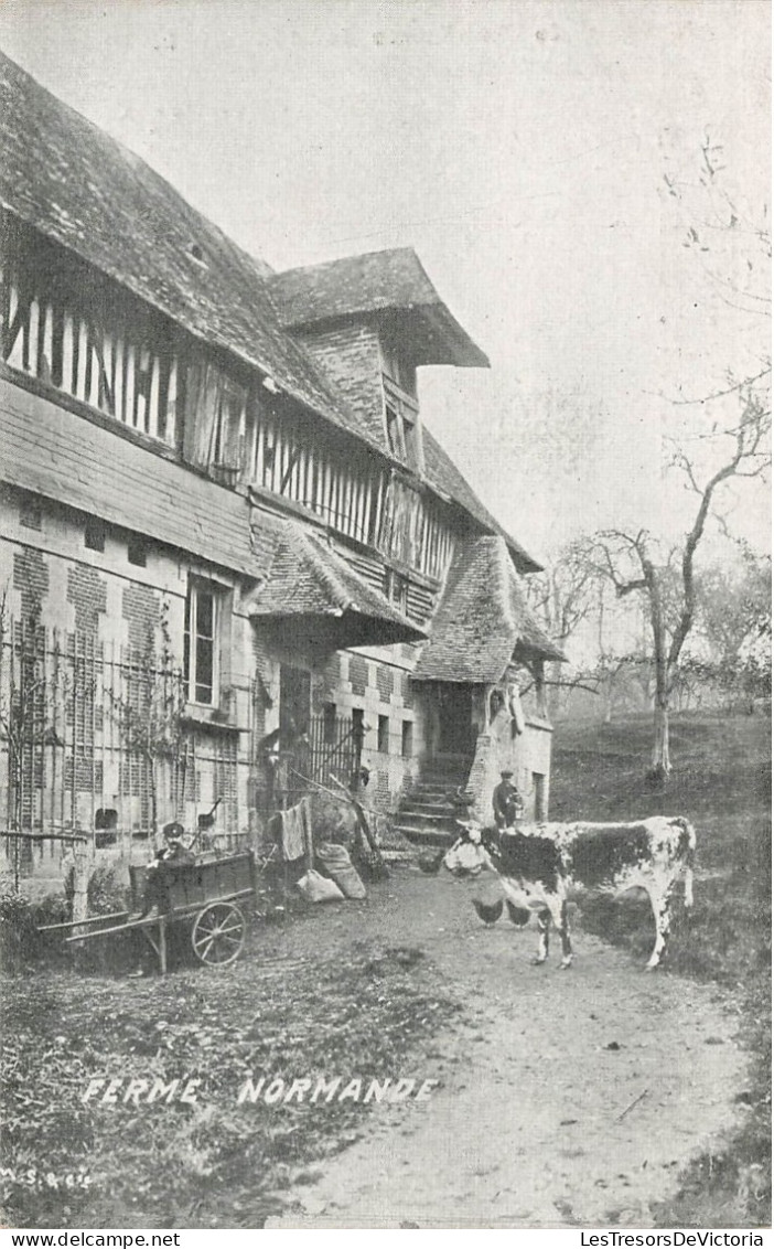 FRANCE - Ferme Normande - Vache - Charettes  - Carte Postale Ancienne - Altri