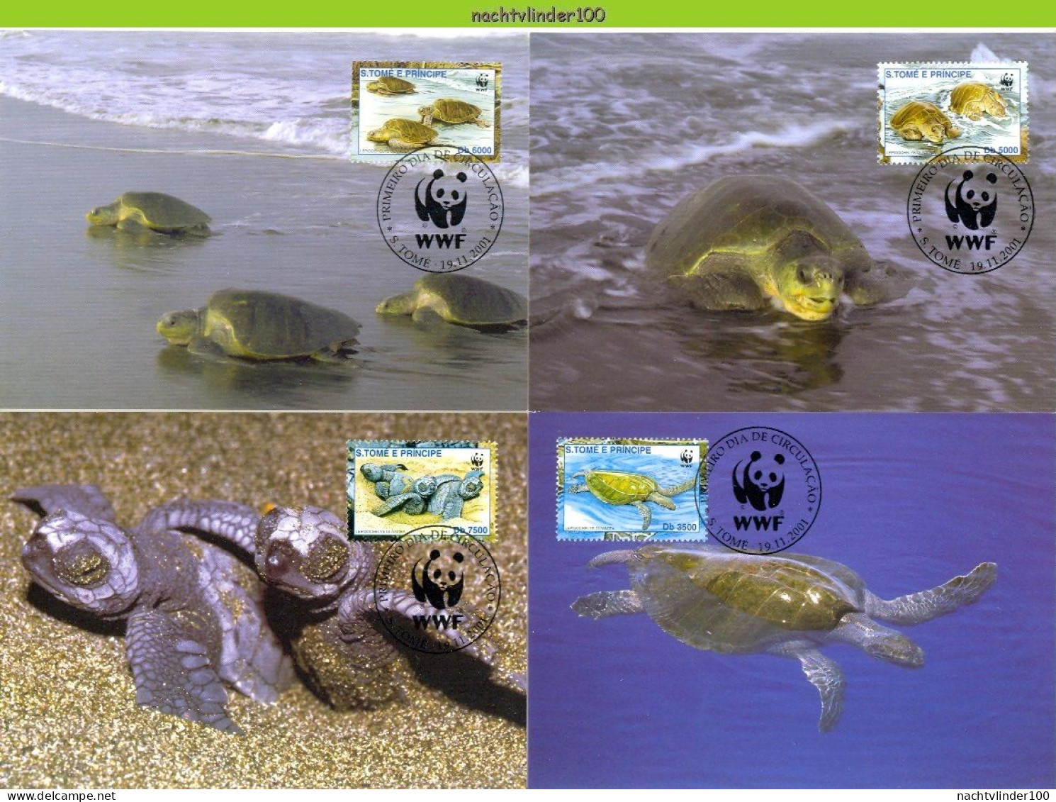 Ngb298mb WWF FAUNA REPTIELEN SCHILDPAD REPTILES TURTLE SCHILDKRÖTEN S. TOMÉ E PRÍNCIPE 2001 MAX # - Cartoline Maximum