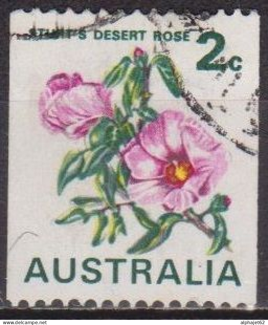 Fleurs - Rose Du Désert  - AUSTRALIE - Flore - N° 447 - 1971 - Gebruikt