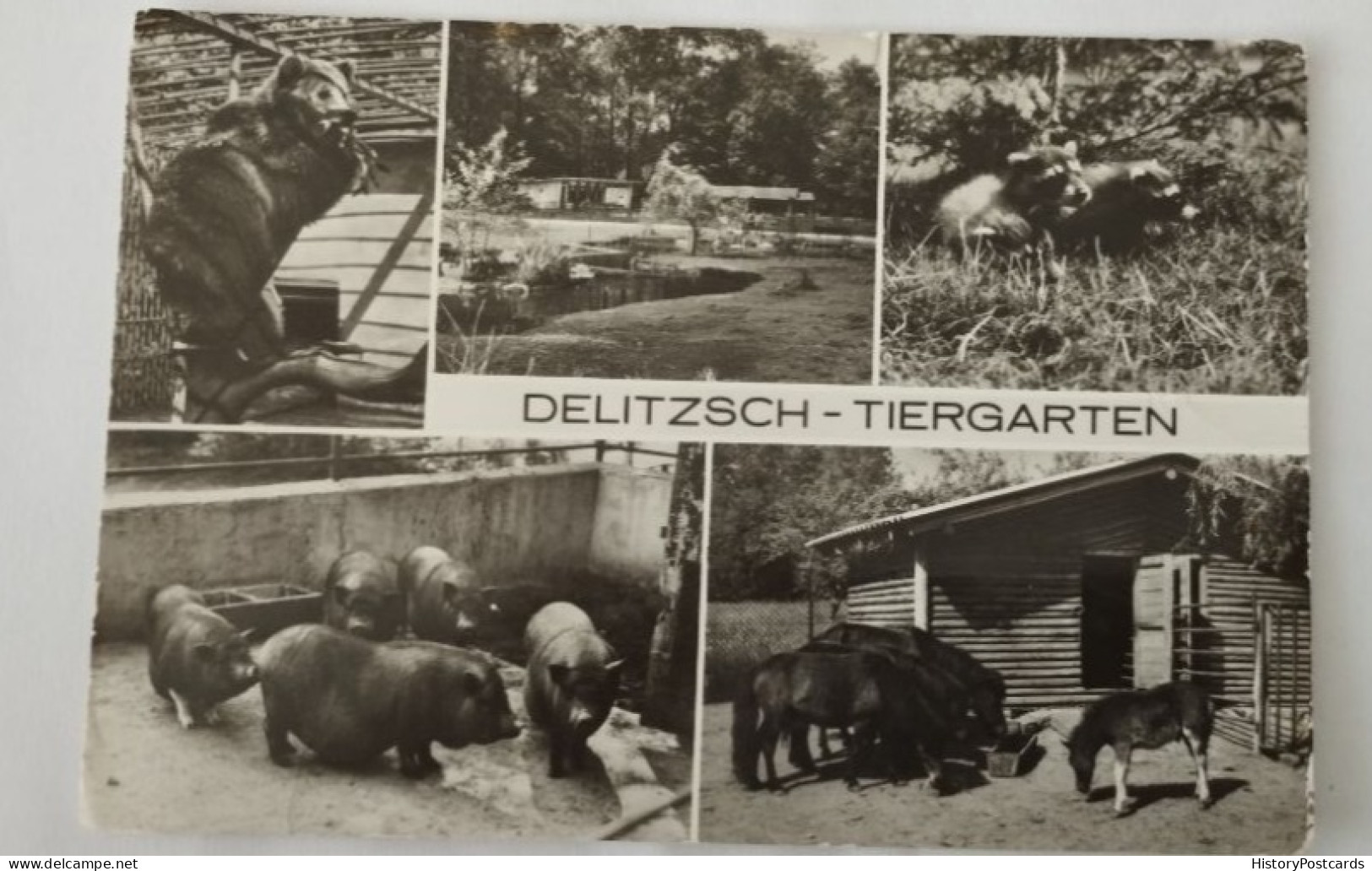 Delitzsch, Tiergarten, Zoo, DDR, 1984 - Delitzsch