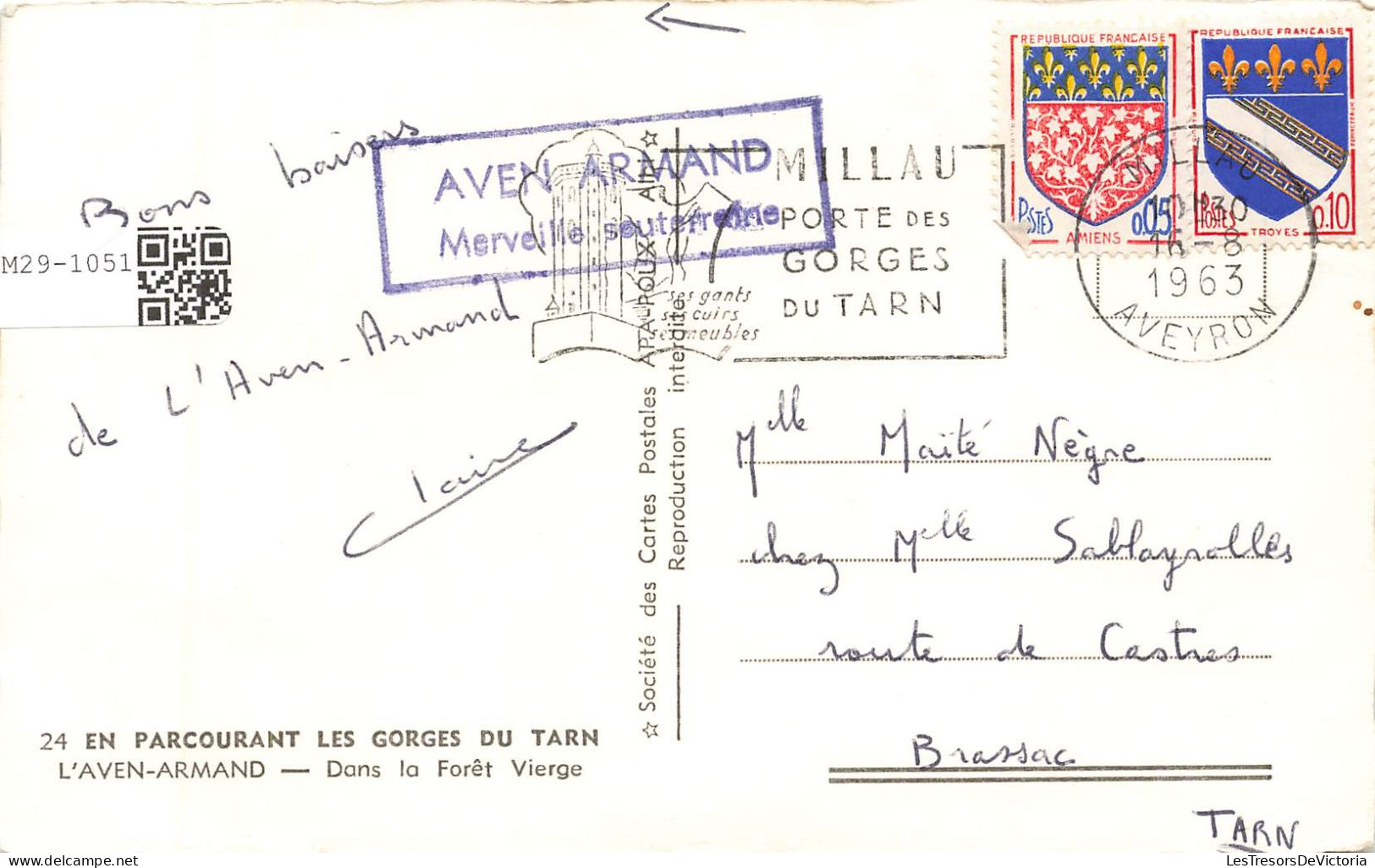 FRANCE - L'Aven Armand - Dans La Forêt Vierge - Carte Postale Ancienne - Other & Unclassified