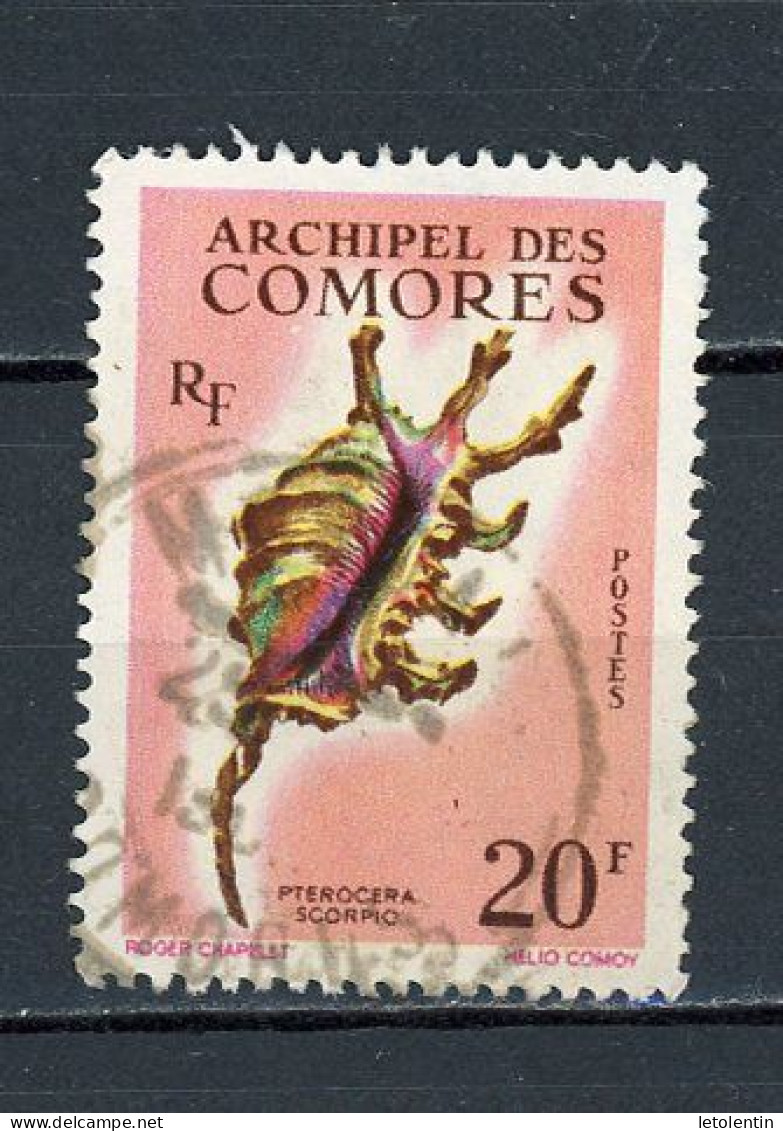 COMORES - COQUILLAGE -  N° Yt  23 Obli. - Usados