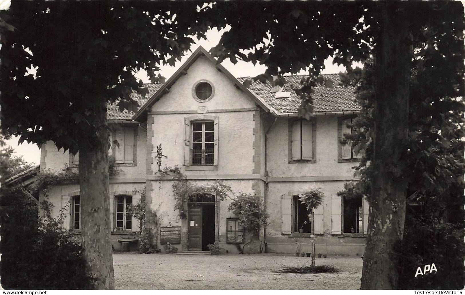 FRANCE - Saint Germain Des Prés - La Mairie Et Les écoles - Carte Postale Ancienne - Distretto: 06