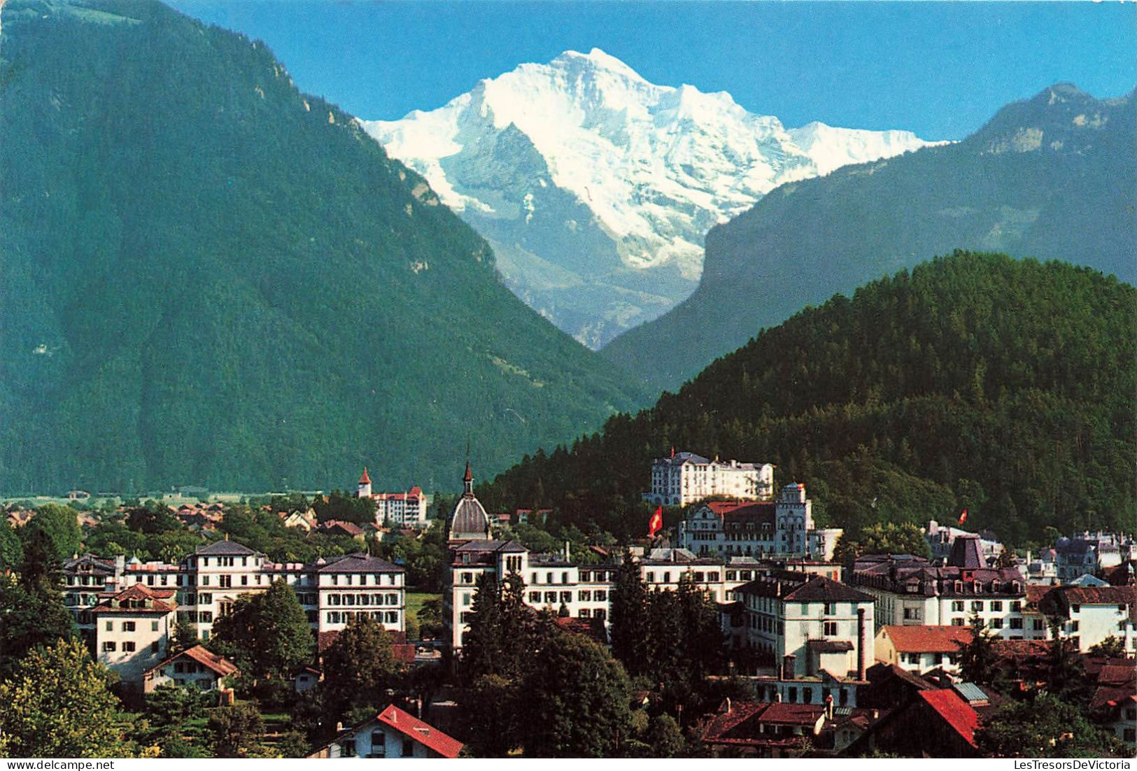 SUISSE - Interlaken - Jungfrau - Carte Postale - Interlaken