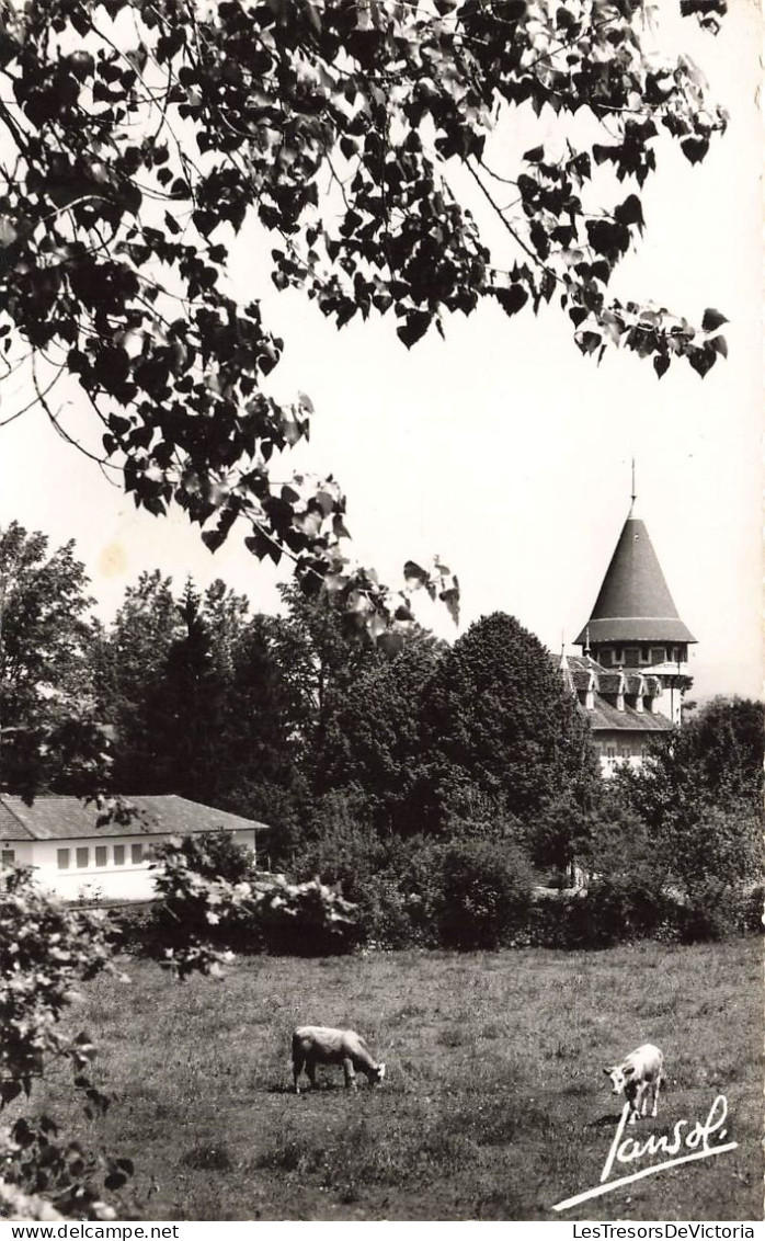 FRANCE - Yenne - Un Charmant Coin De Promenade Au Château De La Dragonnière - Carte Postale Ancienne - Yenne