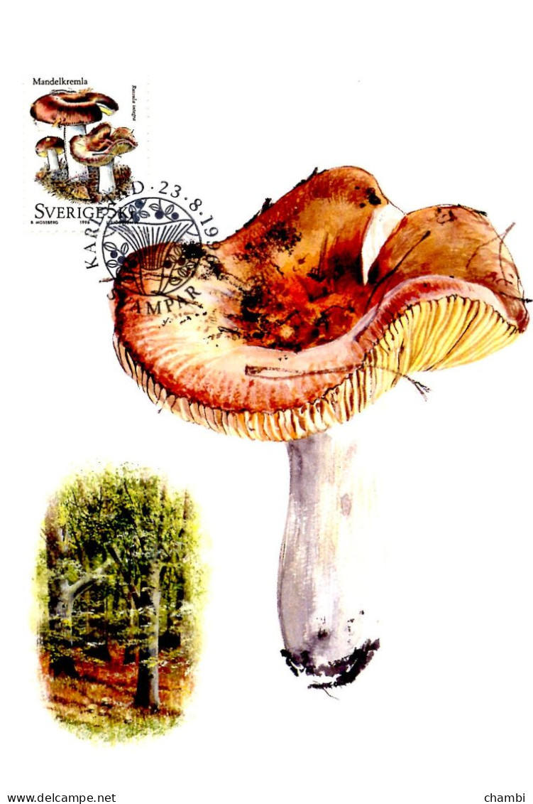 Suède 5 Cartes Maximun De 1996 Champignons Nature Muschroom - Cartas & Documentos