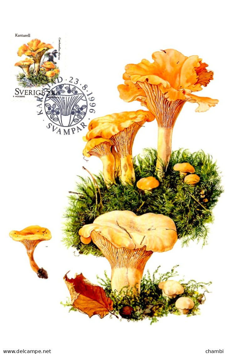 Suède 5 Cartes Maximun De 1996 Champignons Nature Muschroom - Storia Postale