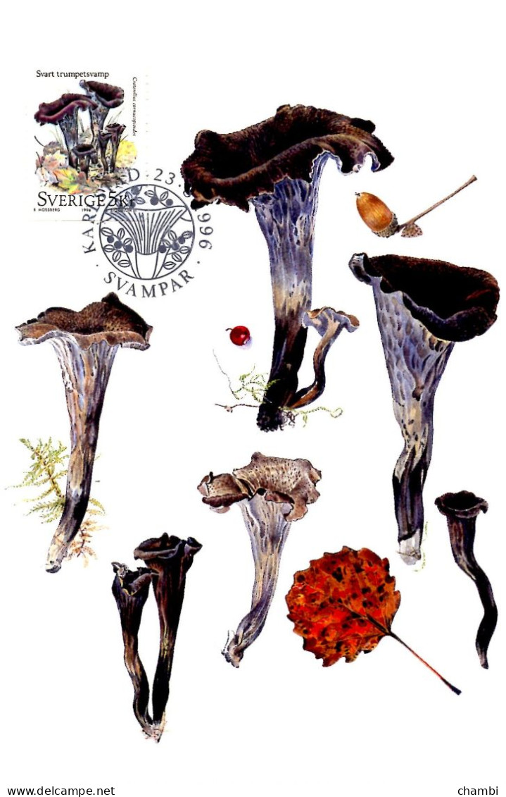 Suède 5 Cartes Maximun De 1996 Champignons Nature Muschroom - Lettres & Documents
