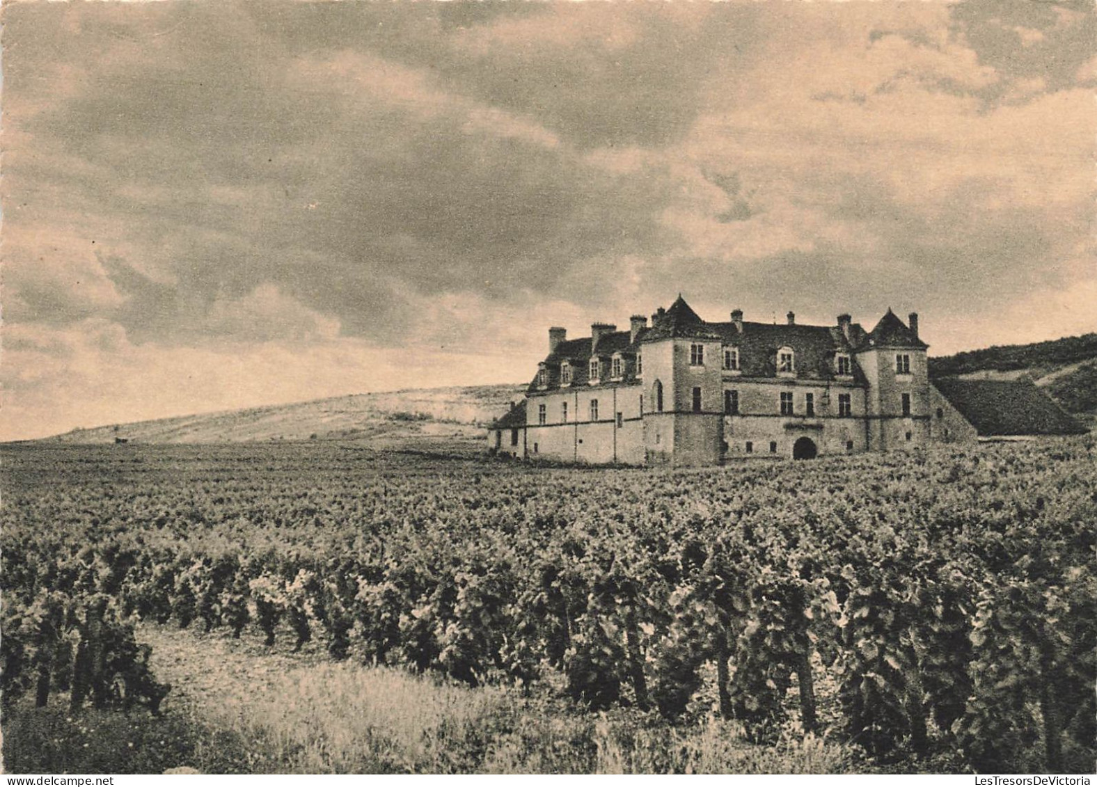 FRANCE - Vougeot - Château Du Clos - Chef D'ordre De La Confrérie Des Chevaliers Du Tastevin - Carte Postale Ancienne - Other & Unclassified