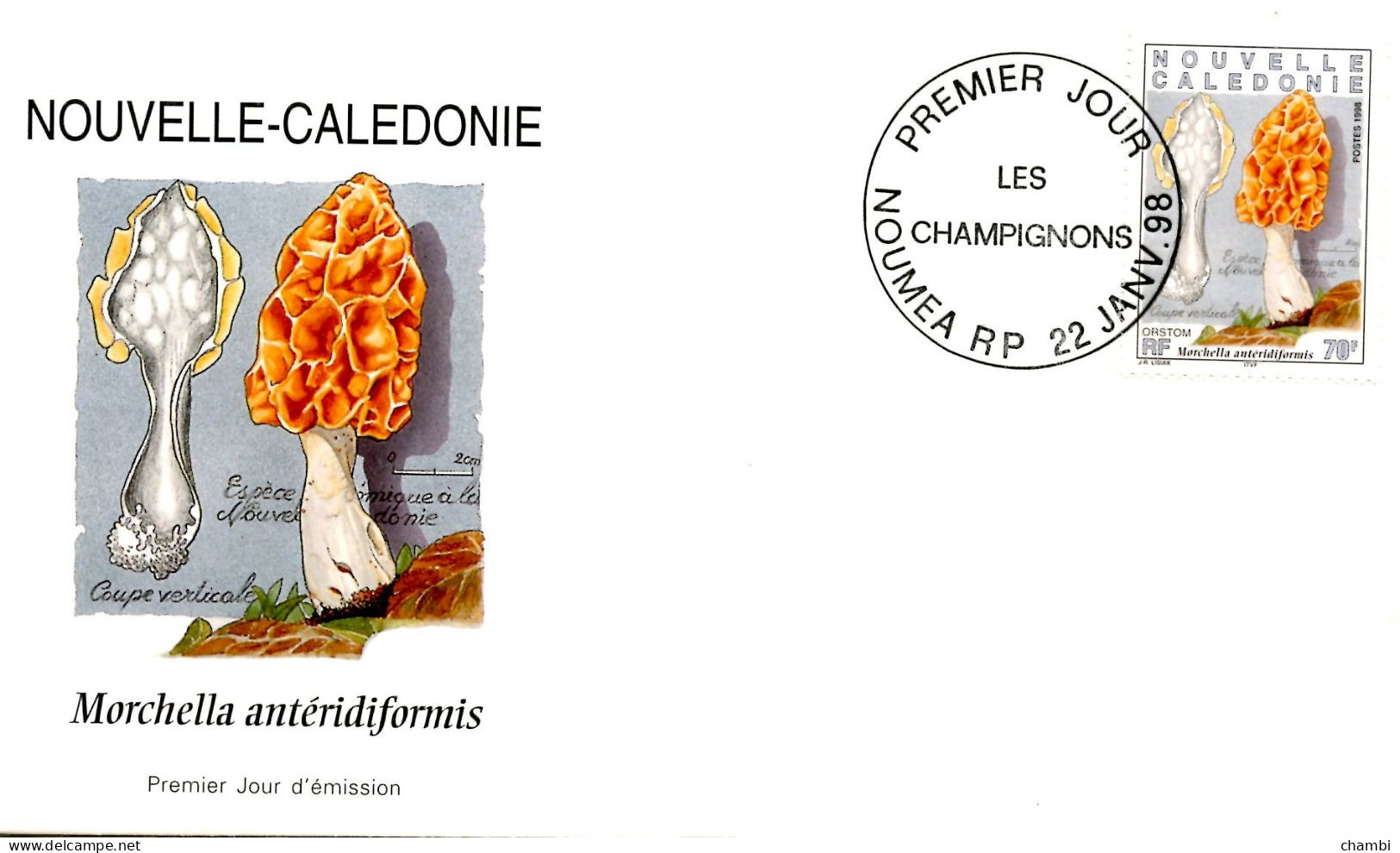 Nouvelle Calédoniel  3 FDC 1998 Champignons Nature Muschroom Fungos - Brieven En Documenten