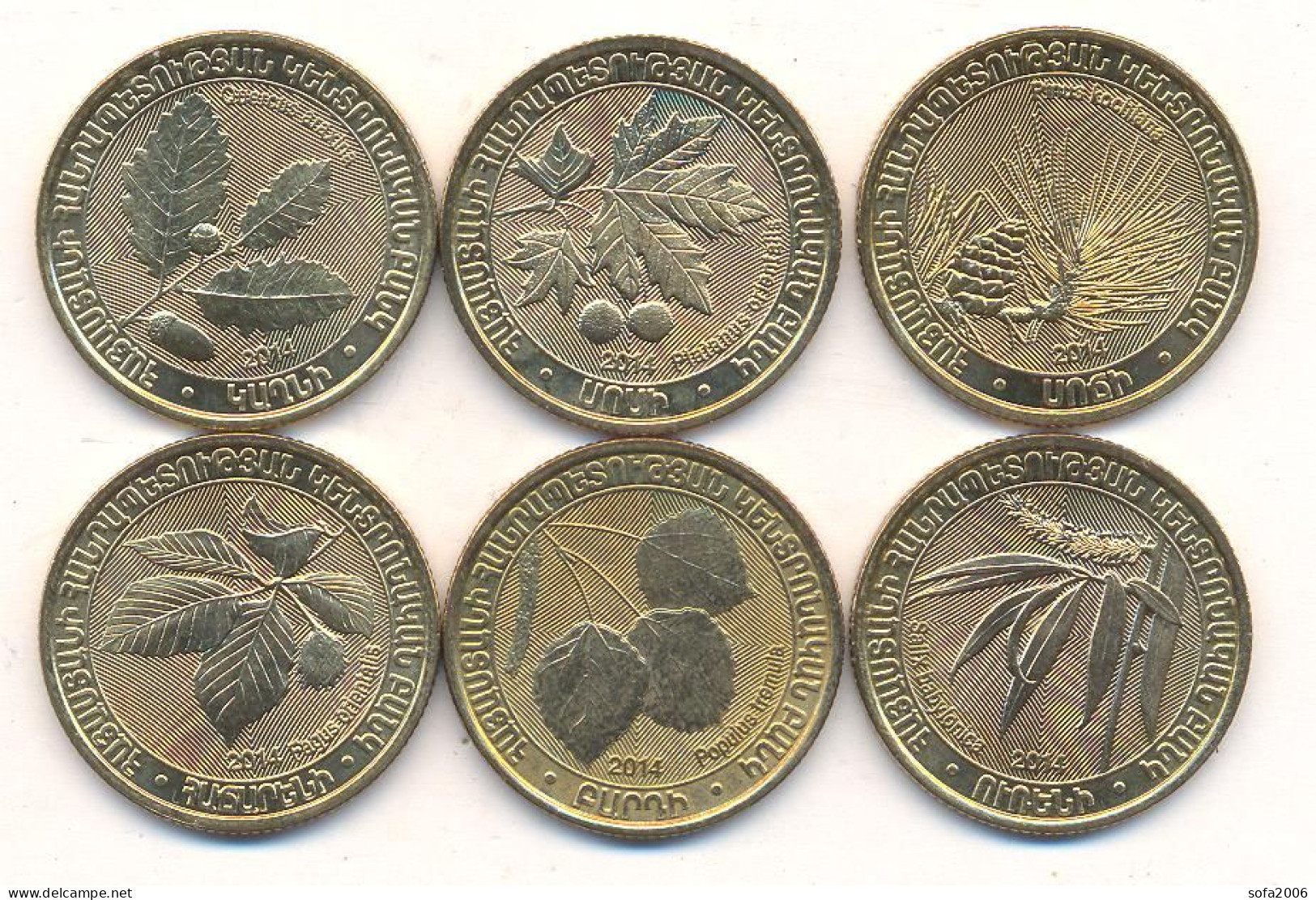 ARMENIA 200 DRAM 6 COINS SET UNC 2014 WILD TREES OF ARMENIA - Armenien