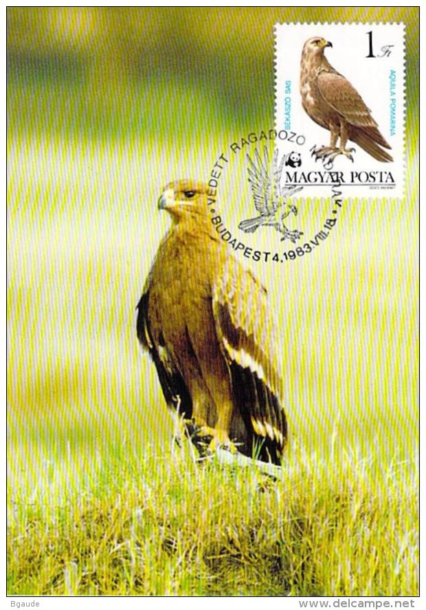 HONGRIE Magyar WWF CARTE MAXIMUM NUM.YVERT 2864 PROTECTION DE LA NATURE OISEAU AIGLE - Maximumkaarten