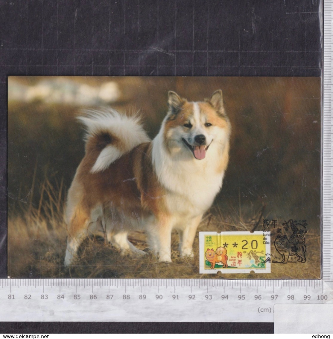 [Carte Maximum / Maximum Card / Maximumkarte]  Macao 2018 | Lunar New Year, Year Of The Dog, Postage Label - Cartes-maximum