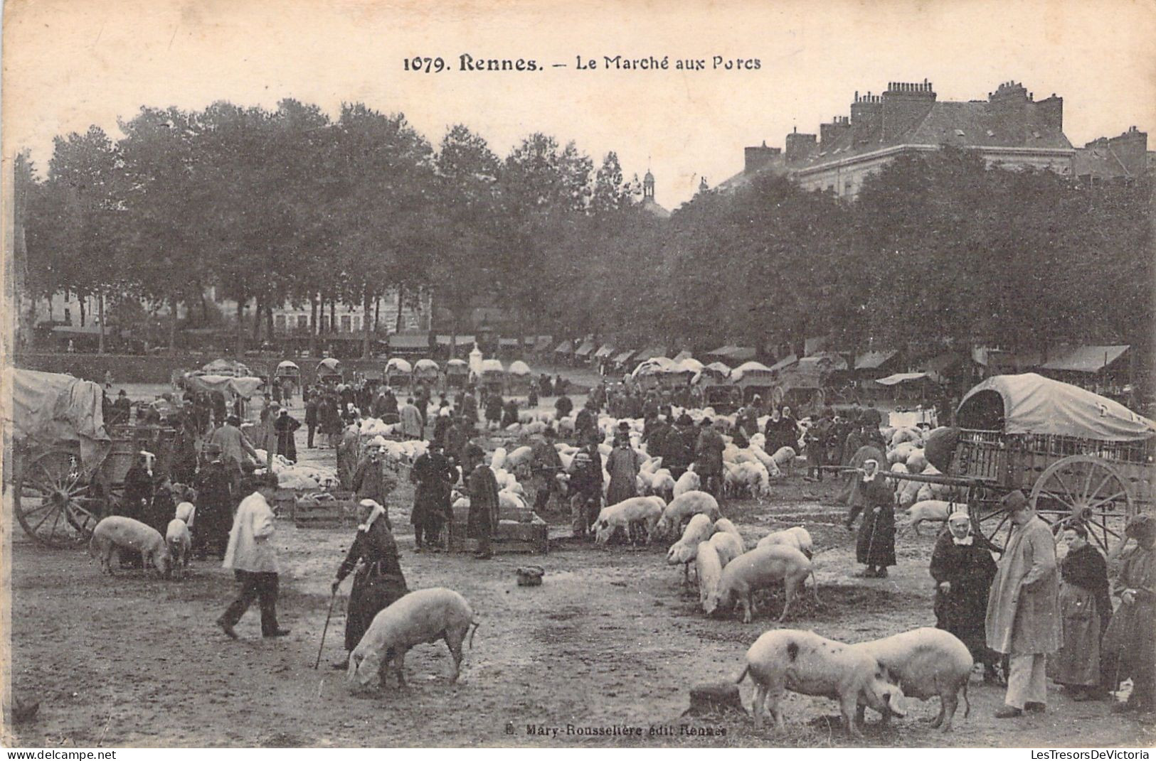 FRANCE - RENNES - Le Marché Aux Porcs - Animé - Carte Postale Ancienne - Rennes
