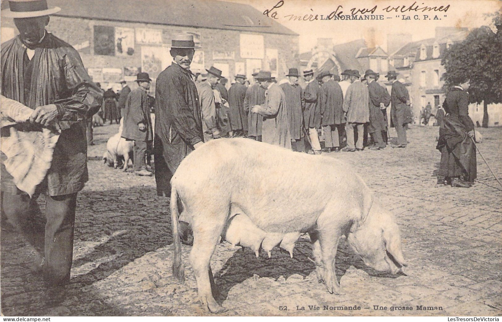 FRANCE - La Vie Normande - Une Grosse Maman - Truie - Marché Aux Cochons - Animé - Carte Postale Ancienne - Autres & Non Classés