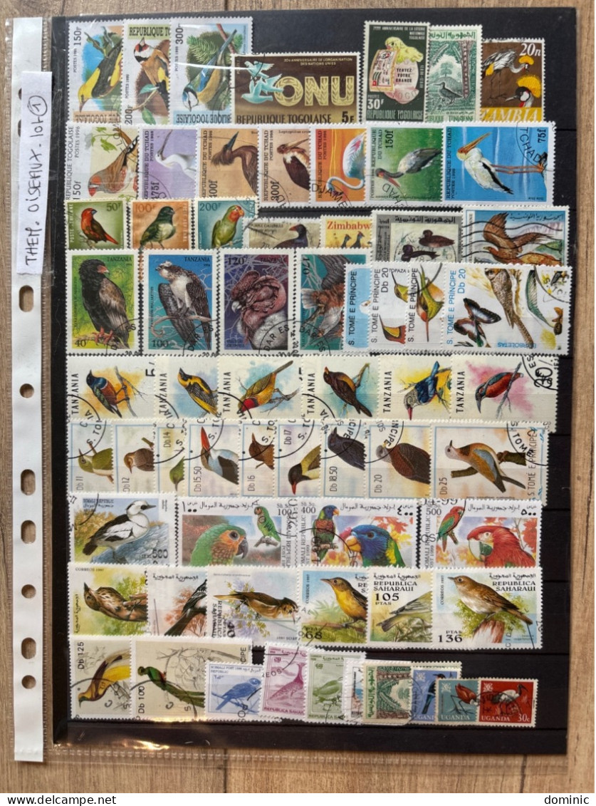 Thème Oiseaux Lot 1 - Colecciones & Series