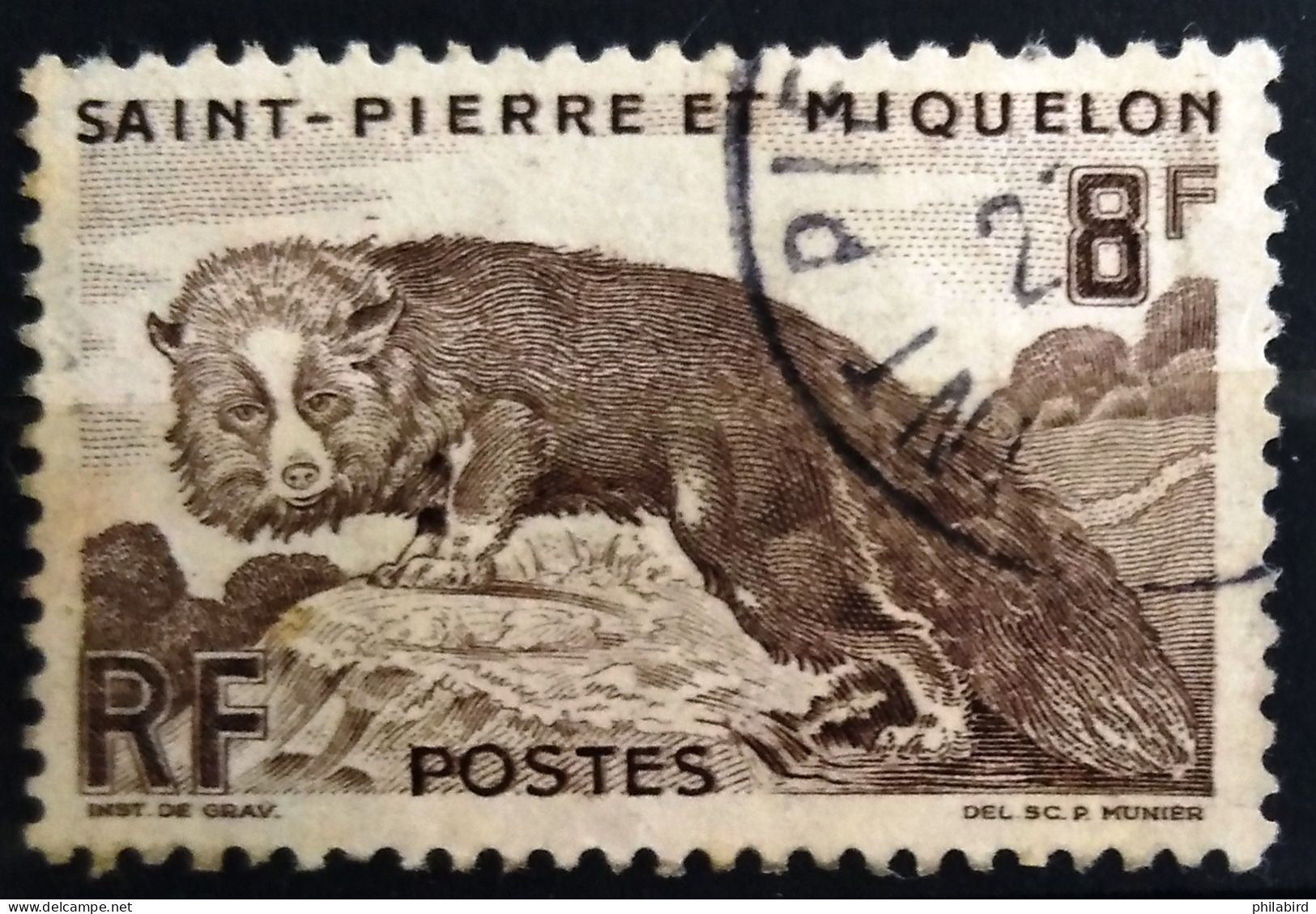 SAINT PIERRE ET MIQUELON                   N° 345                   OBLITERE - Used Stamps