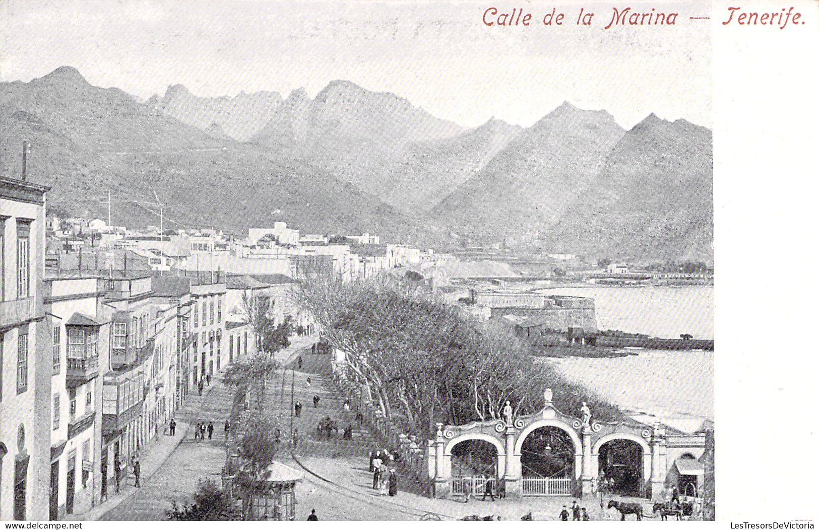 ESPAGNE - Calle De La Marina - Tenerife - Carte Postale Ancienne - Tenerife