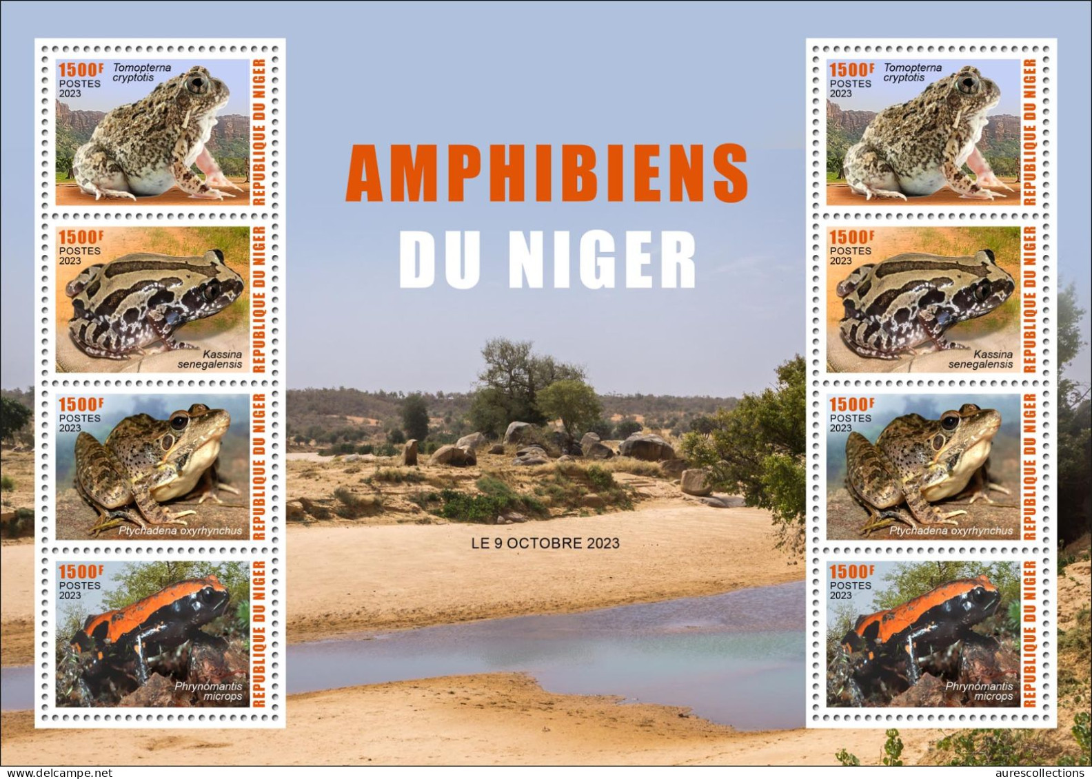 NIGER 2023 SHEET 8V - FROGS FROG TOAD TOADS GRENOUILLE GRENOUILLES - AMPHIBIANS AMPHIBIENS - MNH - Grenouilles