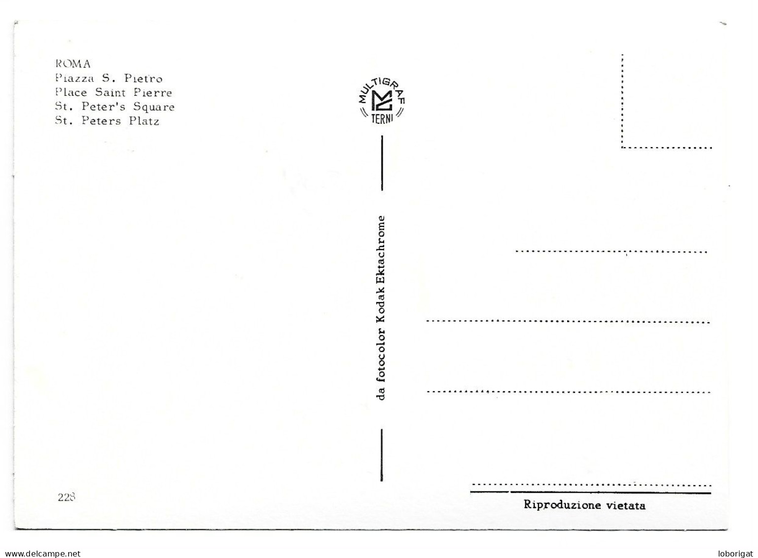 PIAZZA SAN PIETRO / SAN PETER'S SQUARE.-  ROMA - ( ITALIA ) - San Pietro