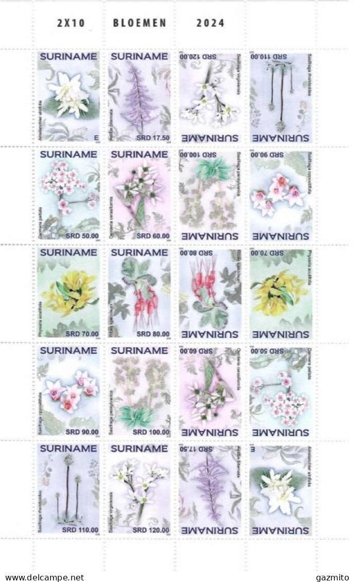 Suriname 2024, Flowers, Sheetlet, - Suriname