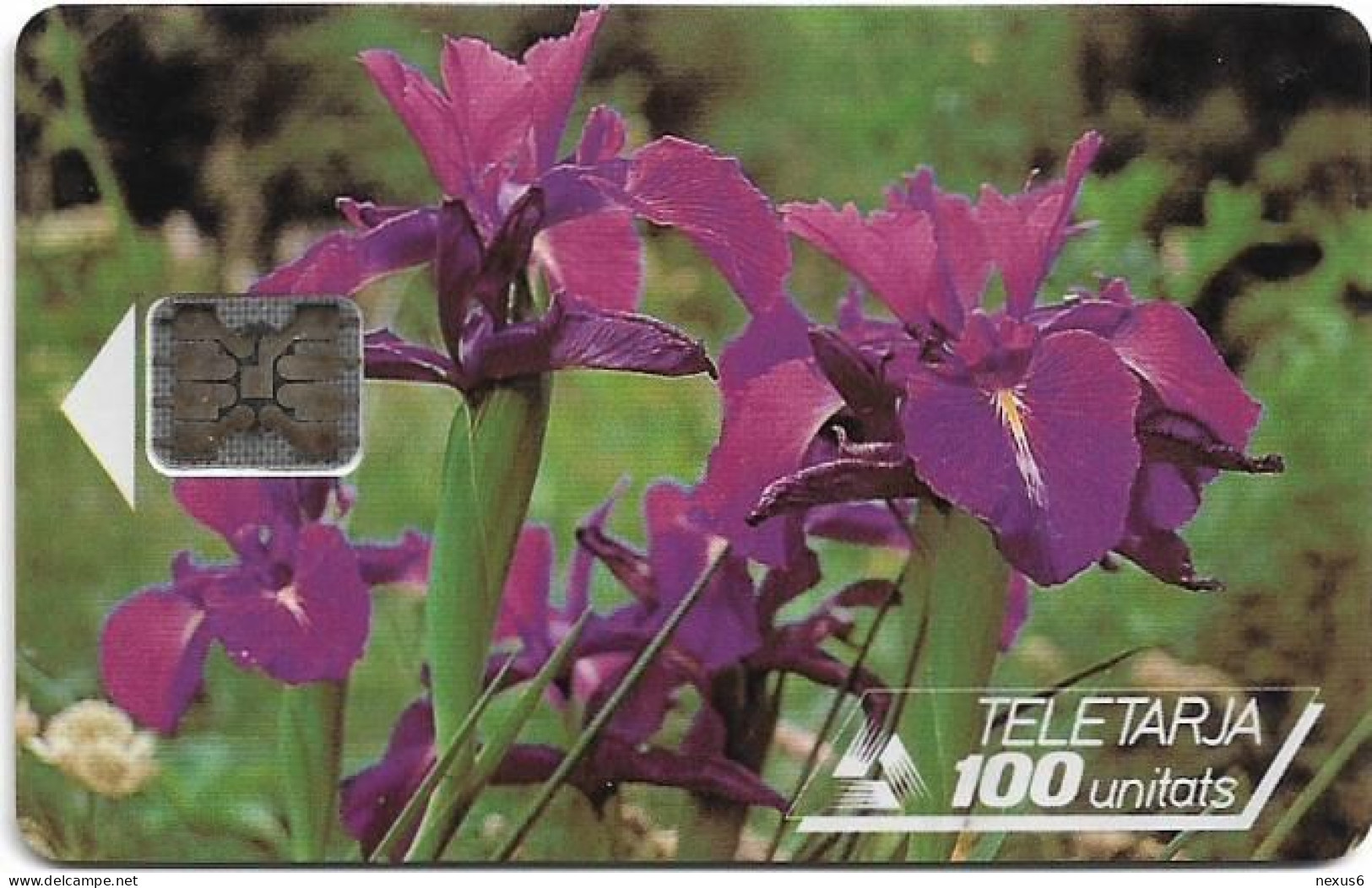 Andorra - STA - STA-0008 - Flowers, Pyrenean Iris, Cn.39531, 12.1992, SC5, 100U, 20.000ex, Used - Andorre