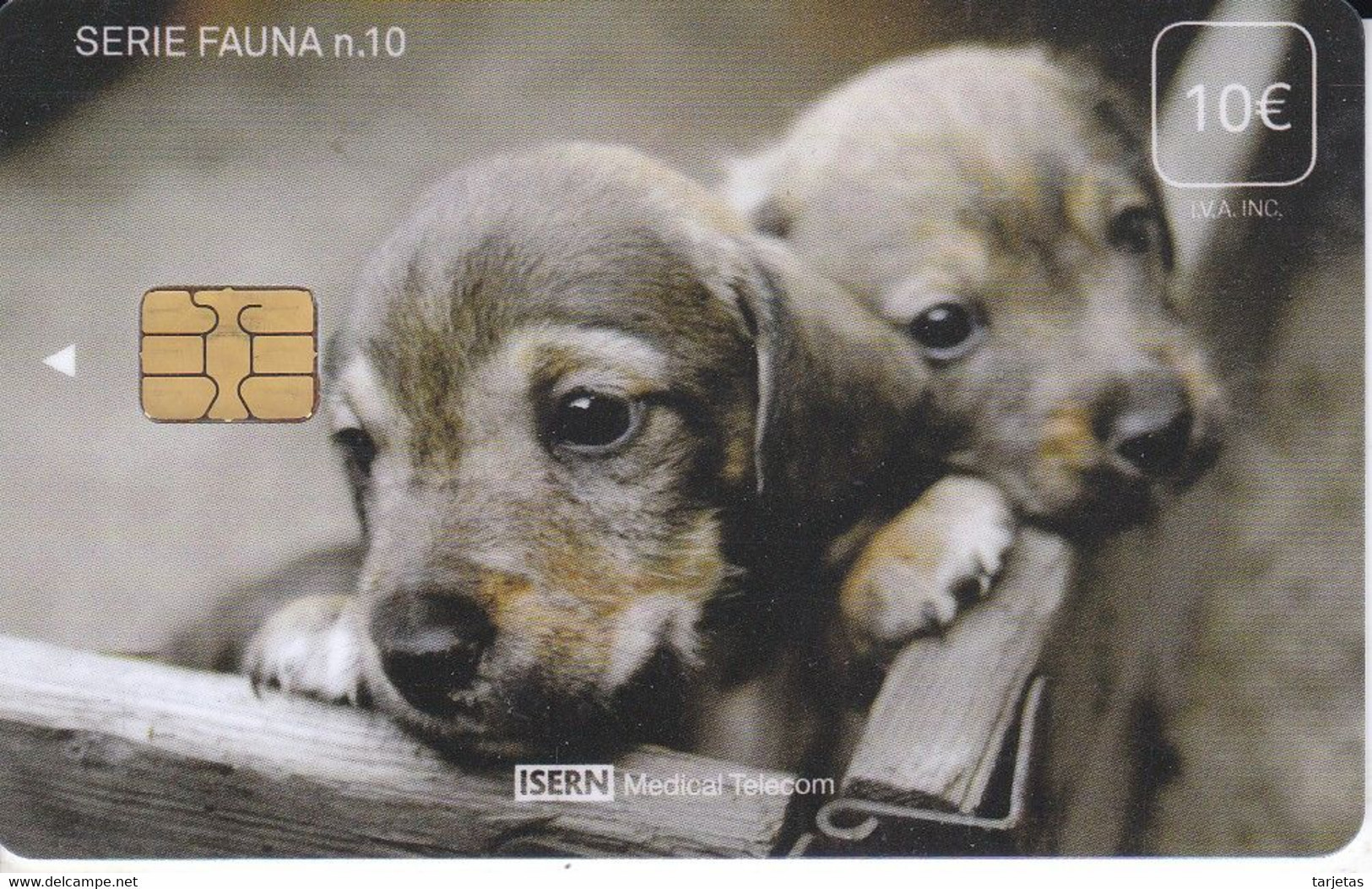 ISN-111 TARJETA DE ESPAÑA DE ISERN DE SERIE FAUNA Nº10  PERRO-CAN-DOG - Autres & Non Classés