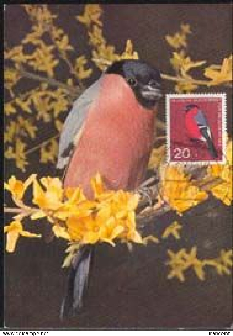 GERMANY(1963) Bullfinch. Maximum Card With First Day Cancel. Scott No B390, Yvert No 275. - 1961-1980