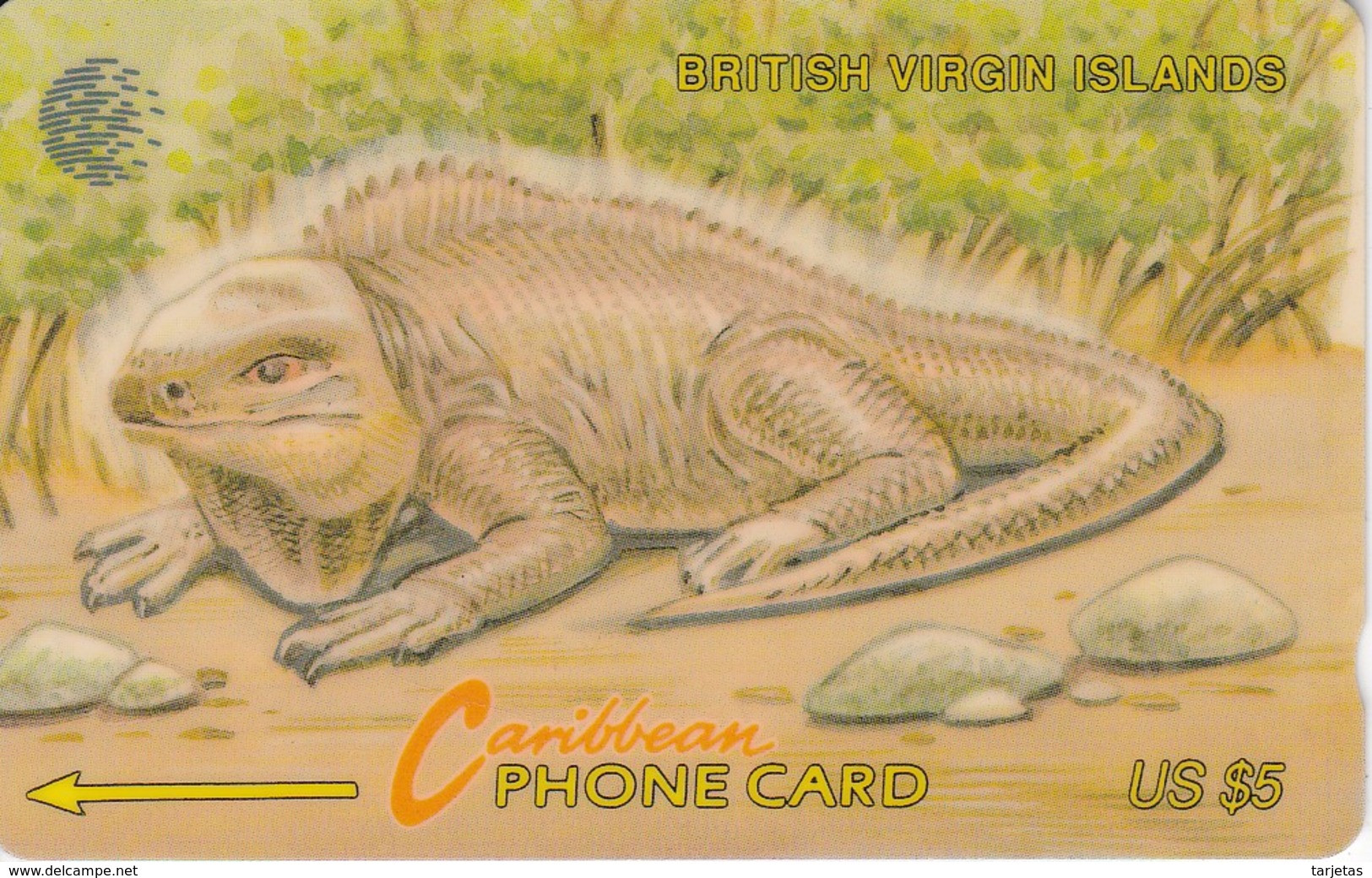 TARJETA DE BRITISH VIRGIN ISLANDS  DE UNA IGUANA 21CBVB - Maagdeneilanden