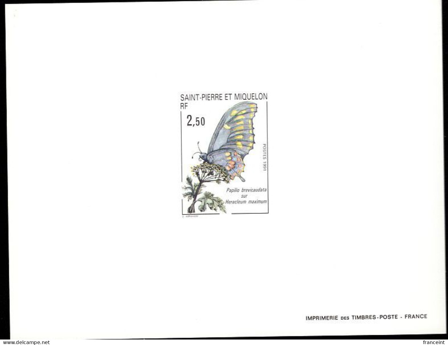 ST. PIERRE & MIQUELON(1991) Short-tailed Swallowtail (Papilio Brevicauda). Deluxe Sheet. Scott No 554. - Ongetande, Proeven & Plaatfouten