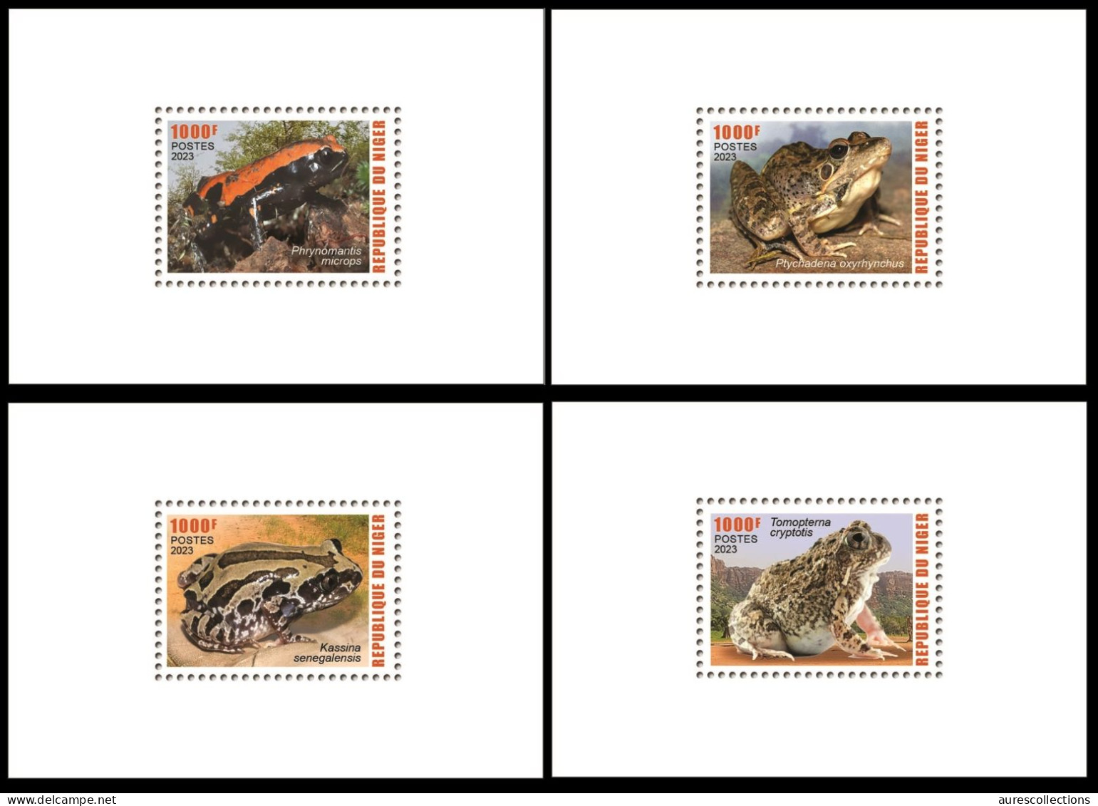 NIGER 2023 SET OF 4 SHEETS - AMPHIBIANS AMPHIBIENS - FROGS FROG GRENOUILLES GRENOUILLE - LUXE MNH - Grenouilles