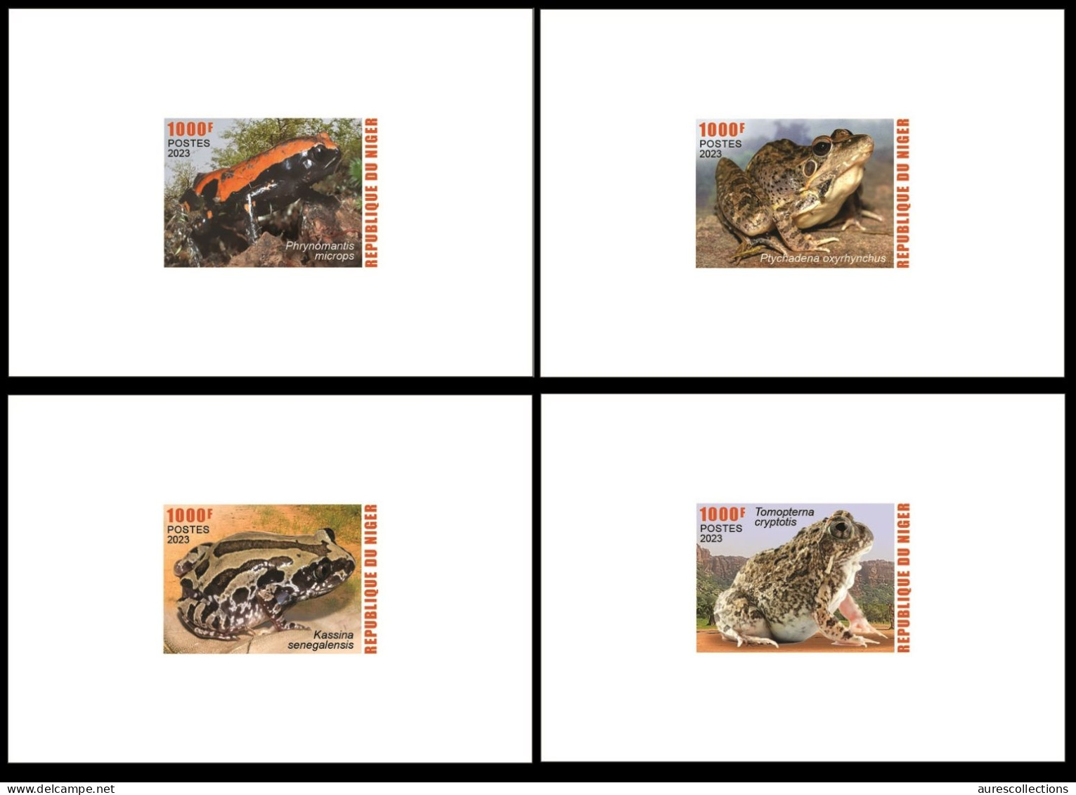 NIGER 2023 SET OF 4 DELUXE PROOF - AMPHIBIANS AMPHIBIENS - FROGS FROG GRENOUILLES GRENOUILLE - Grenouilles