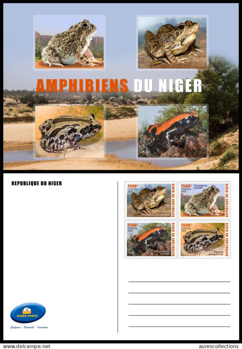 NIGER 2023 STATIONERY CARD - FROGS FROG TOAD TOADS GRENOUILLE GRENOUILLES - AMPHIBIANS AMPHIBIENS - Grenouilles