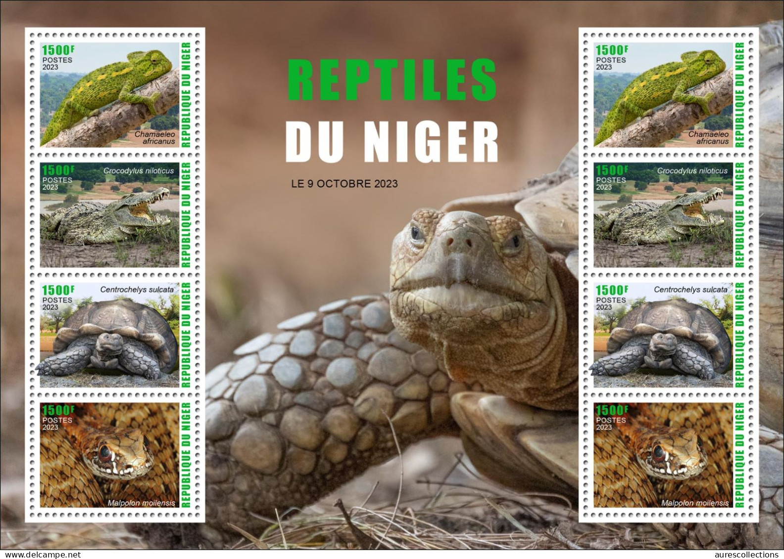 NIGER 2023 PACK OF 3 SHEET - FROGS FROG TURTLE TURTLES SNAKES SNAKE CROCODILES CHEMELEONS - AMPHIBIANS & REPTILES - MNH - Grenouilles