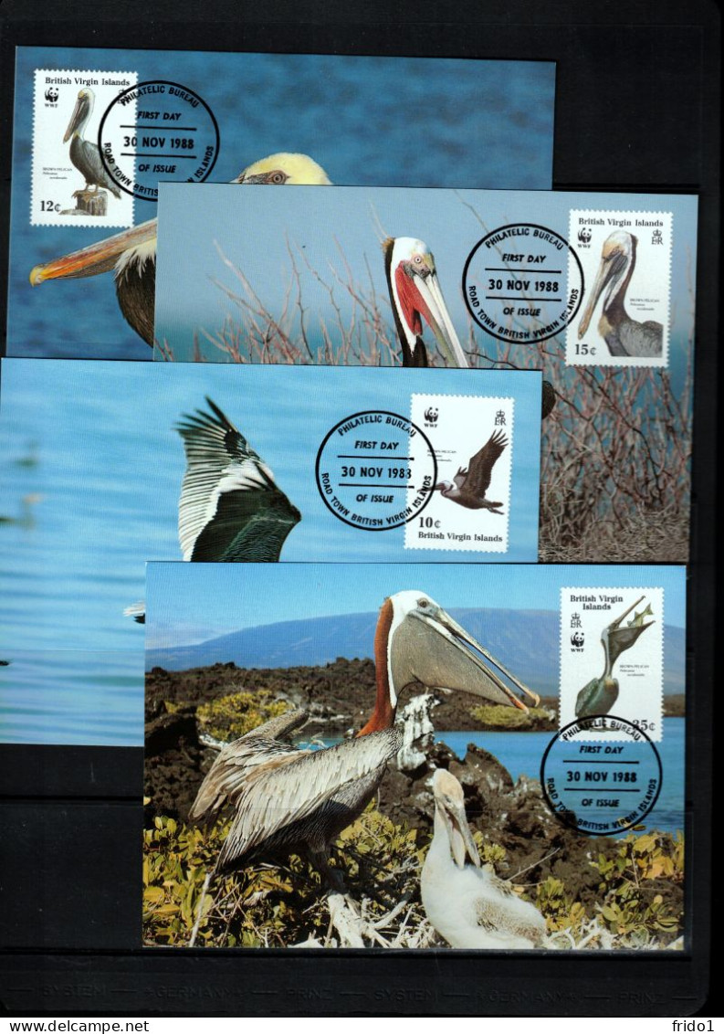 British Virgin Islands 1988 Birds - Pelicans WWF Maximum Cards 4x - Pelikanen
