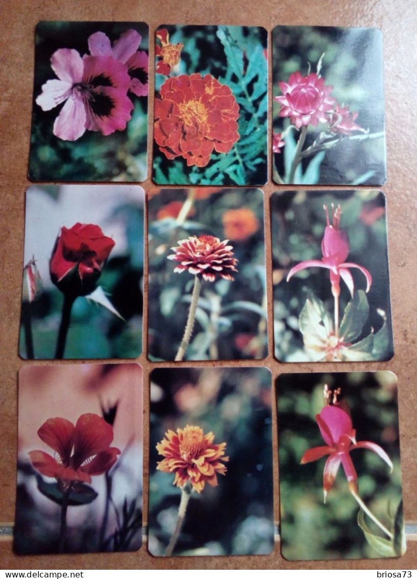 9 Calendriers De Poche Fleurs - Petit Format : 1981-90