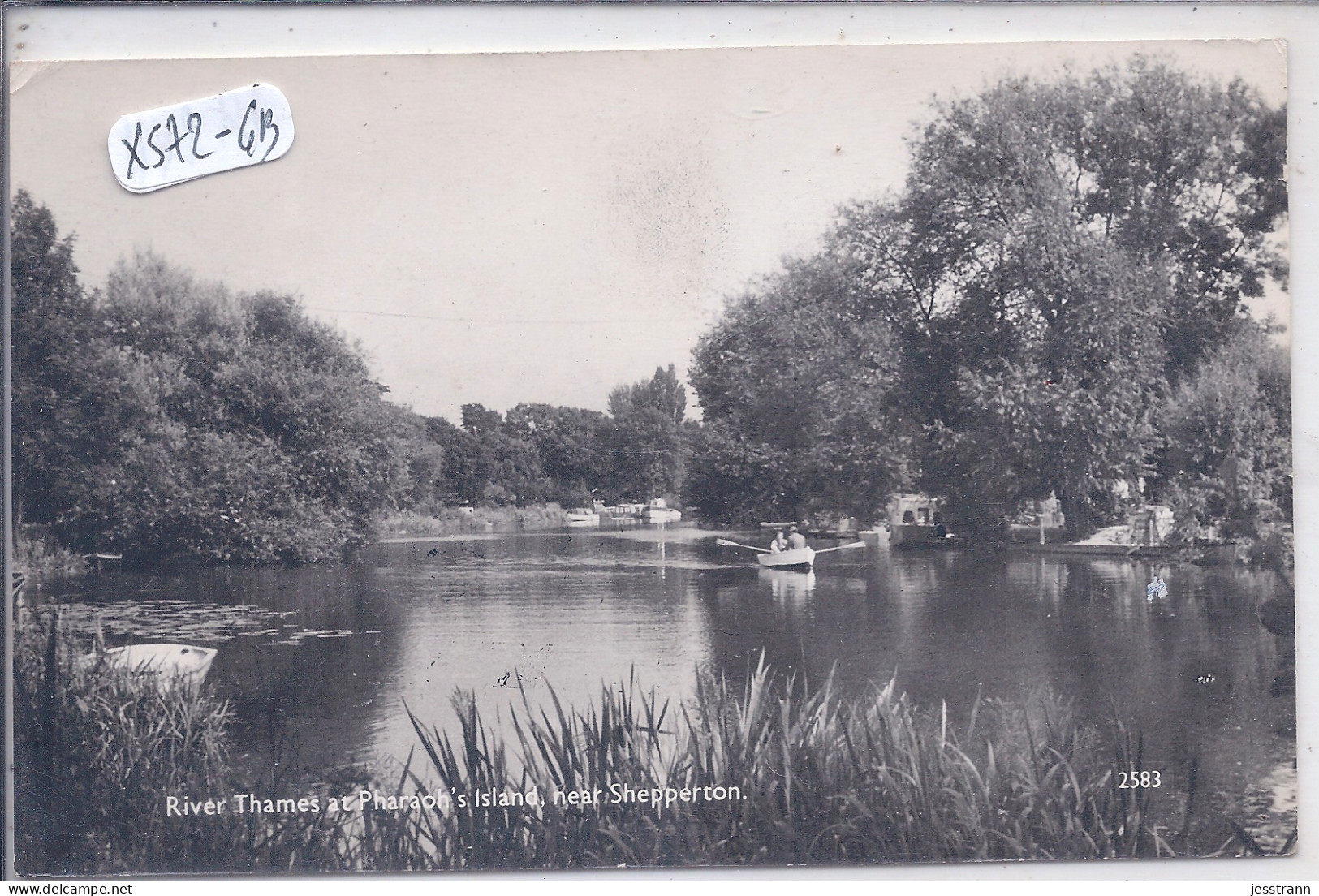 ROYAUME-UNI- RIVER THAMES AT PHARAOH ISLAND NEAK SHEPPERTON - Surrey