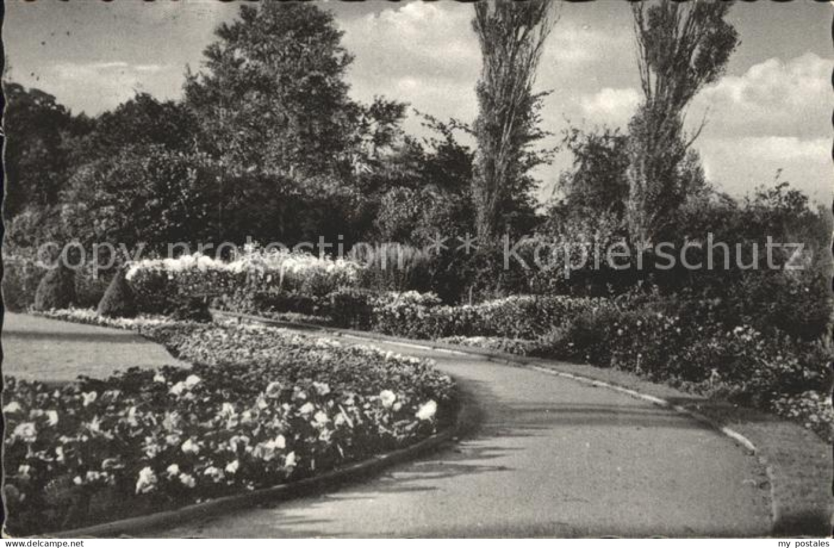 42059764 Pinneberg Rosengarten  Pinneberg - Pinneberg