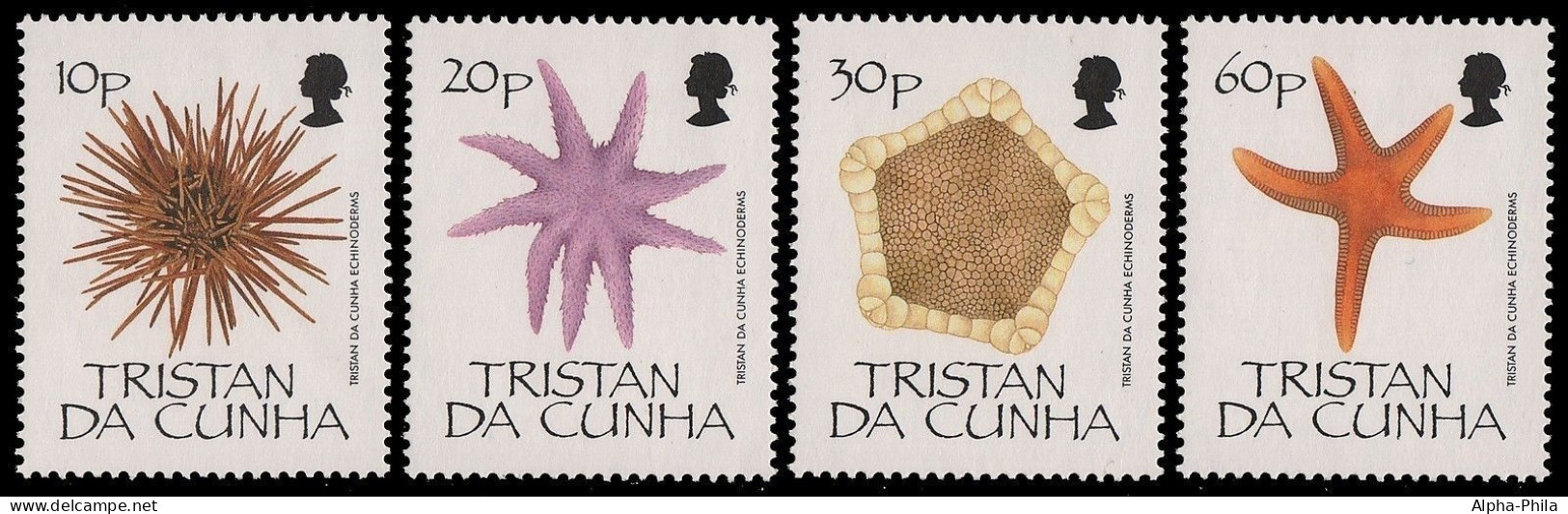 Tristan Da Cunha 1990 - Mi-Nr. 489-492 ** - MNH - Meerestiere / Marine Life - Tristan Da Cunha