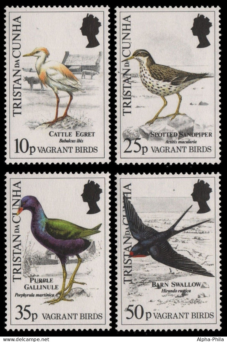 Tristan Da Cunha 1989 - Mi-Nr. 481-484 ** - MNH - Vögel / Birds - Tristan Da Cunha