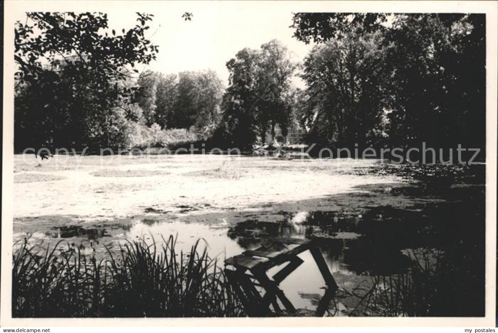 42056016 Seppensen Muehlteich Buchholz In Der Nordheide - Buchholz