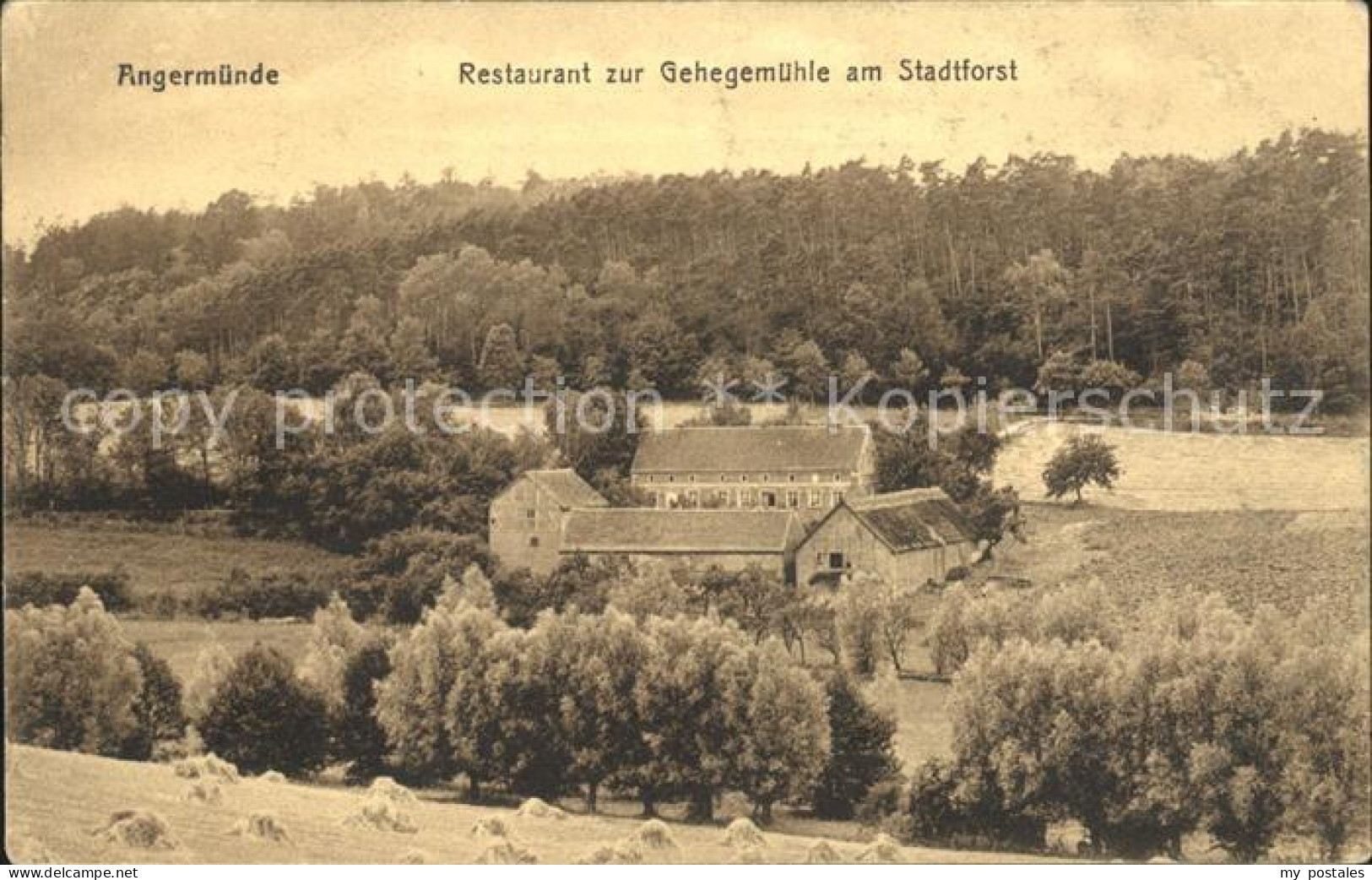 42021405 Angermuende Restaurant Zur Gehegemuehle Am Stadtforst Angermuende - Angermuende