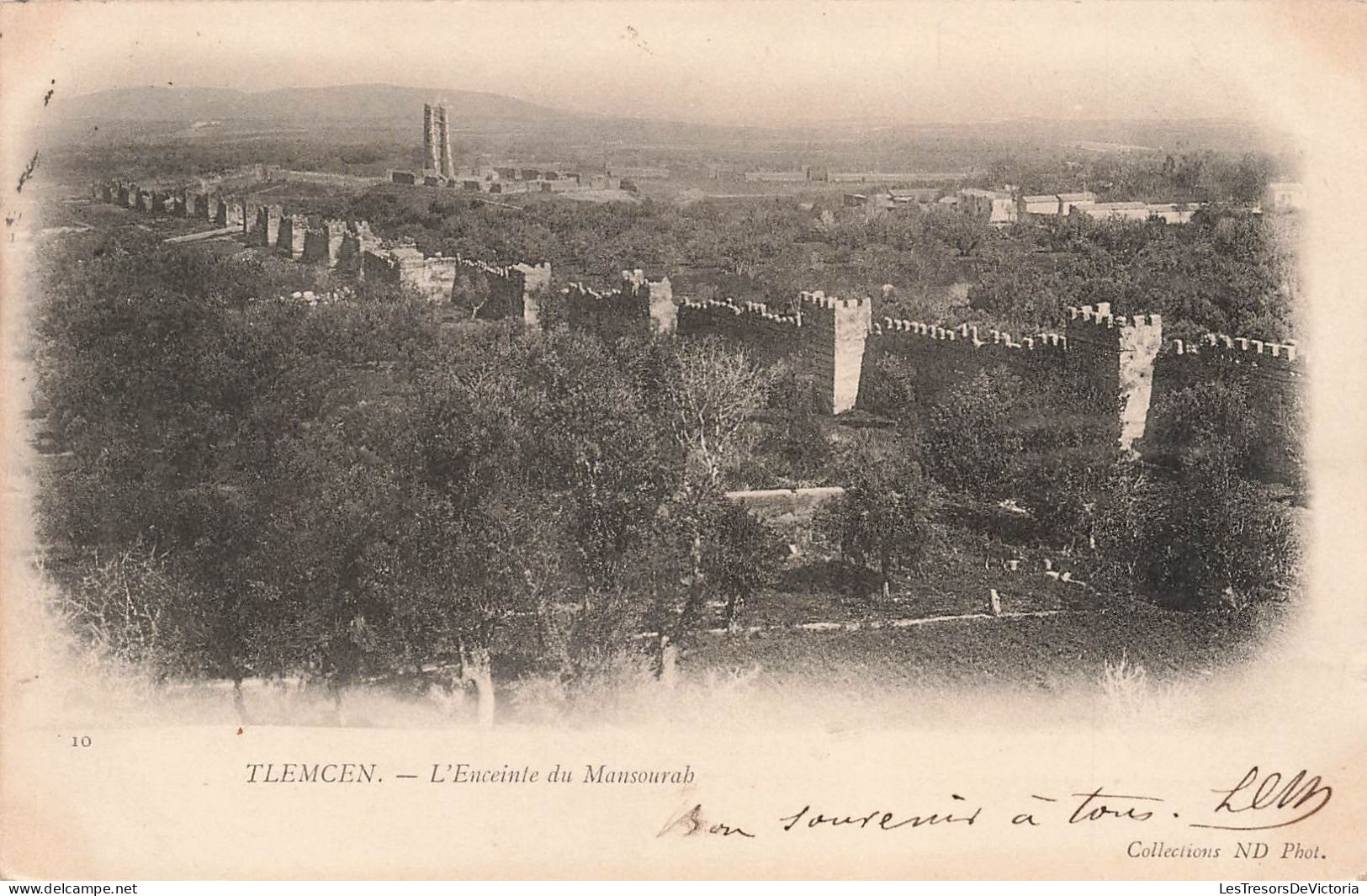ALGERIE - Tlemcen - Vue Générale De L'enceinte Du Mansourab - Carte Postale Ancienne - Tlemcen